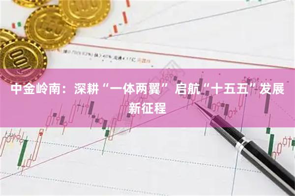 中金岭南：深耕“一体两翼” 启航“十五五”发展新征程