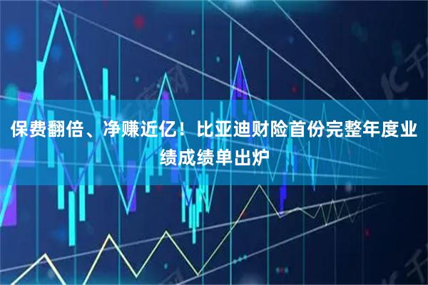 保费翻倍、净赚近亿！比亚迪财险首份完整年度业绩成绩单出炉